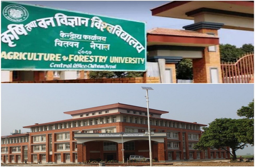 विश्वविद्यालयमा विद्यार्थीको चरम अभाव