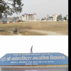 बुधबारबाट मेचीनगरमा राष्ट्रपति रनिङ शिल्ड सुरु हुँदै 