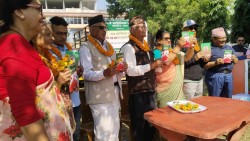 पाठकमाझ कल्पना ओलीको 'जुरुक्क उठ्छ सडक'